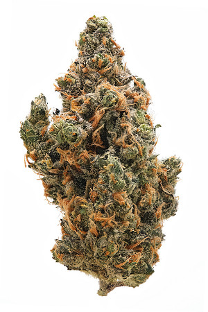 White Lightning - Pure Plan