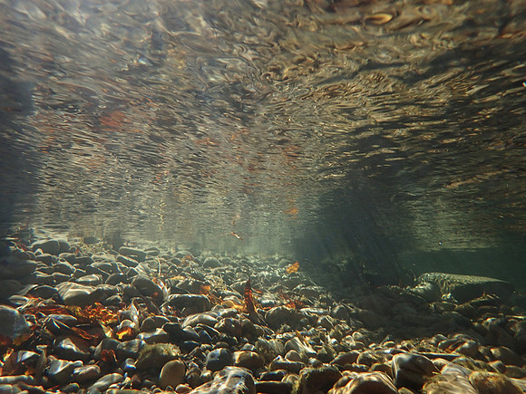 Right Fork of Hobble Creek - Utah