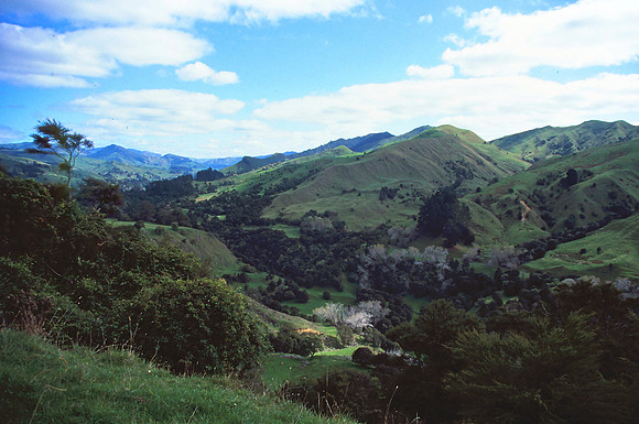 New Zealand