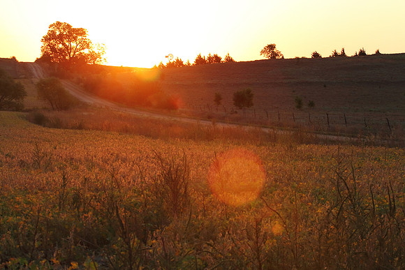 Sunrise in Eastern Kansas
