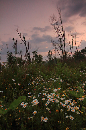 Sunrise in Western Pennsylvania