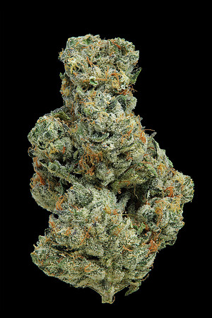 Gelato Cake - Pure Plan