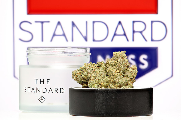GG4 - Standard Wellness
