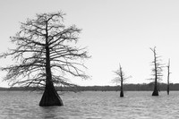 North West Arkansas